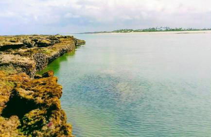 Navegante hospedagem- Barra de mamanguape - Photo 14