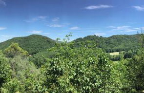 Mas Pardas - Photo 12