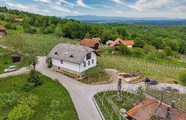 Vineyard Homestead Vrtin - Foto 37