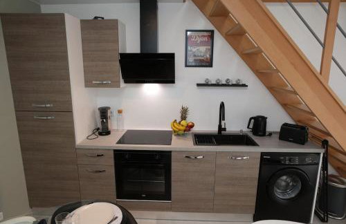 Le Gary cosy, studio climatisé, Dijon centre - Foto 9