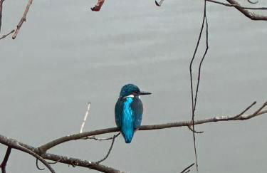 FeWo Zum Ritterorden - Foto 34