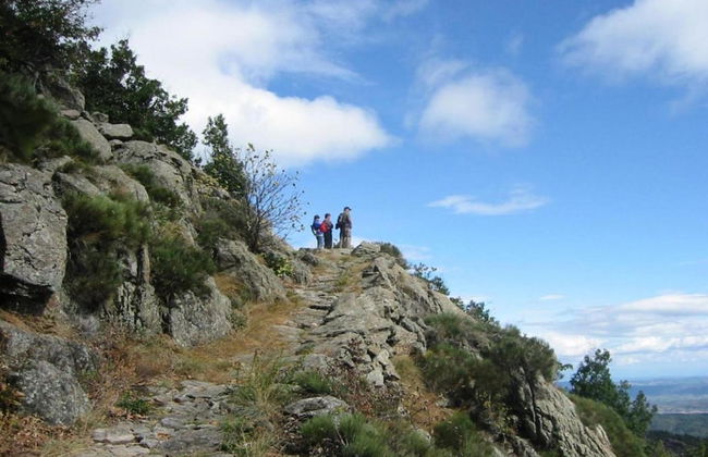 Authentic Stone Mas Retreat - Foto 33