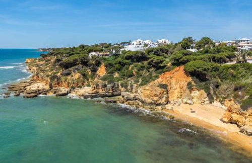 T2 Eucalipto 2A by Algarneto - Foto 30