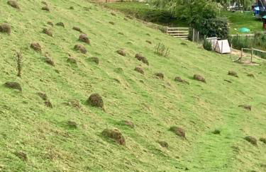 Ruby's Retreat! Farm Stay! North devon! Sleeps 6! Beaches Exmoor! - Foto 28