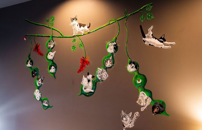 Frank’s CHATAN - Foto 16