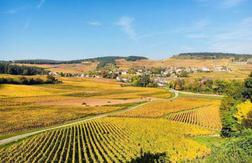 Gîte de La Pyranvôle - Foto 92