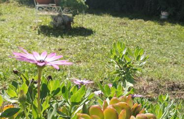 Villa Giardino degli oleandri Palinuro - Foto 58