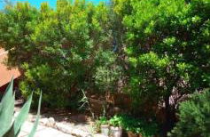 Monolocale Il Corbezzolo - Photo 38