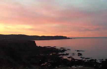 The Home Arms Cottage - Photo 39