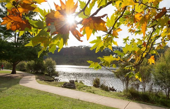 Leura Rose Cottage - Foto 16