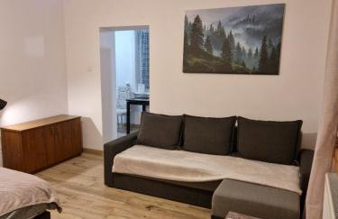 SAWAGO przytulne mieszkanie u Gosi Lekowo Ciechanów - Foto 18