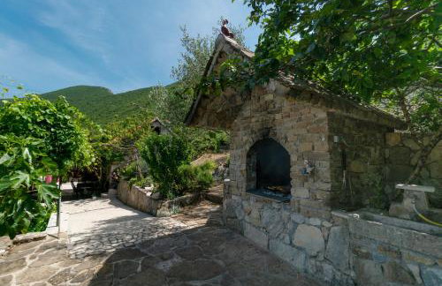 Apartments Srdanovic - Photo 36