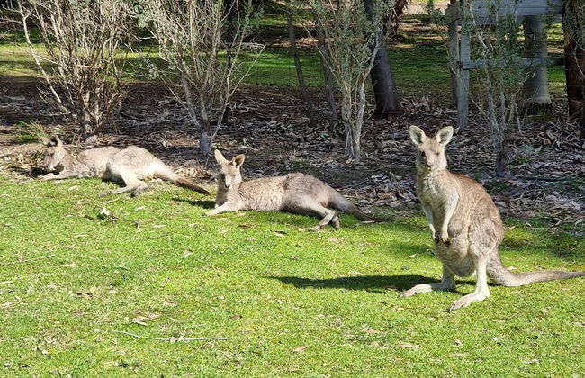 D'Altons Studios - Photo 20