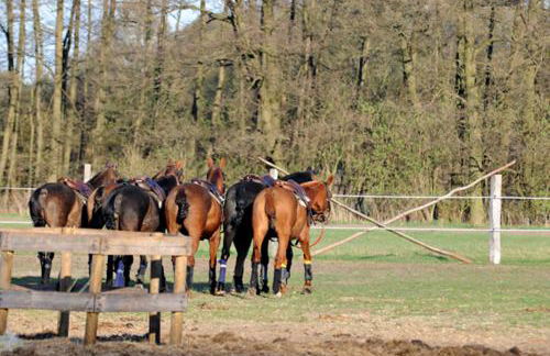 Gästehaus am Landgut - Foto 37