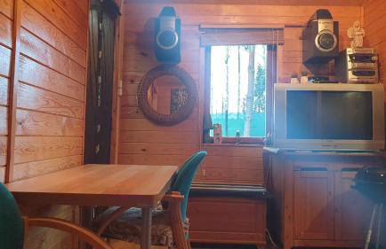 domki domek na jeziorem Wilczyńskim Budzisławskim , las, osobno ogrodzony 2-6 osób- klimatyzacja, ogrzewanie, 62-550 Zygmuntowo gm Wilczyn - Foto 18