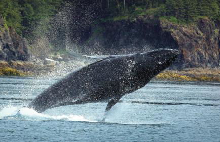 Captain's Quarters - Reduced Price Tours! - Foto 23