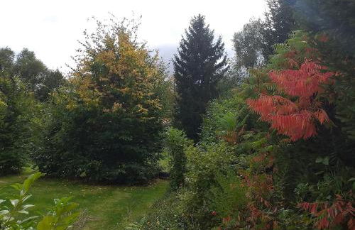 Alt Dwinge - Photo 8