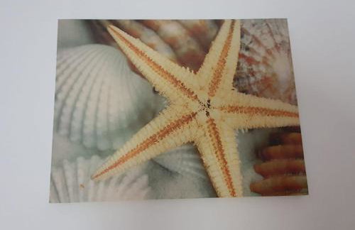 Rubin Arena - Foto 27