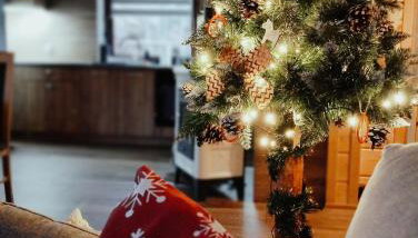 Bieszczadzka Ostoja - całoroczne domy na wynajem w Kalnicy - Foto 5