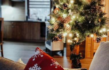 Bieszczadzka Ostoja - całoroczne domy na wynajem w Kalnicy - Foto 5