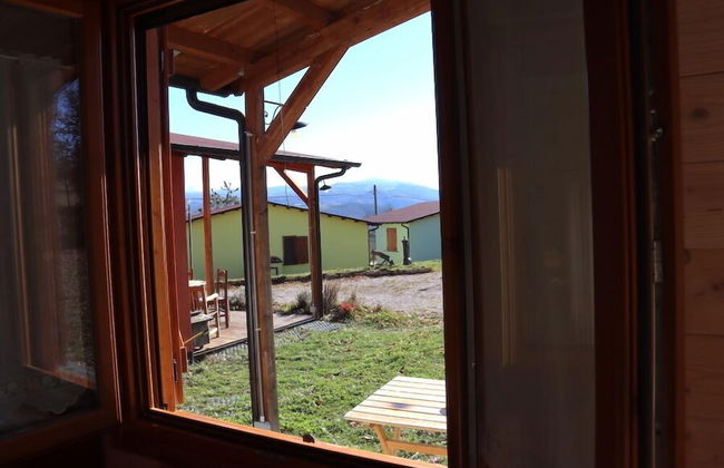 Agriturismo D'Apostolo - Photo 80