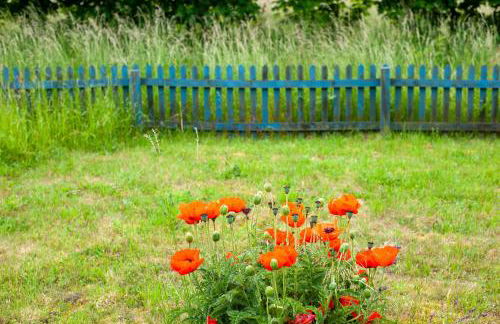 Möve Aba Bungalow 63 - Foto 22