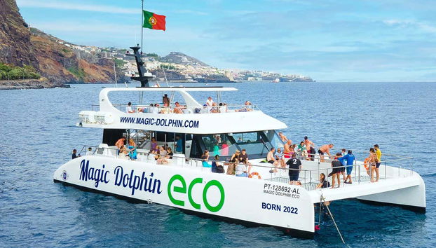 Avistamento de cetáceos de catamarã - Foto 2