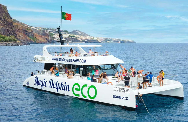 Whale & Dolphin Watching Cruise - Photo 7