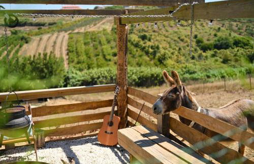 Quinta dos Castanheiros - Foto 47