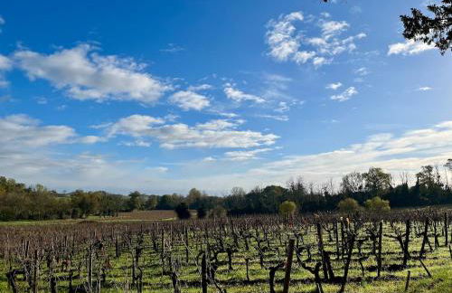 Bordeaux, Gironde, Océan - Gîte au coeur des vignes - Foto 10