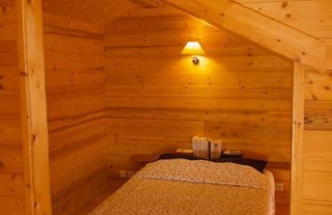 Chalet montagne Savoie Domaine Skiable Valmorel - Foto 2