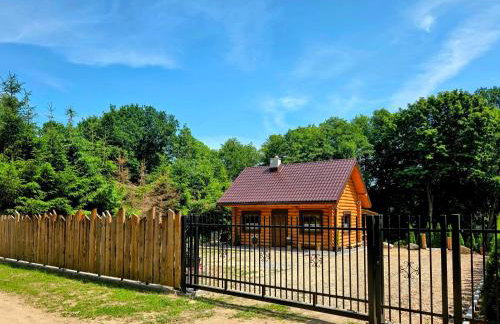 Dom z Bala nad Cieminem - Foto 10