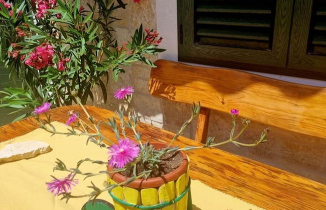 Beach House Calendula - Foto 57