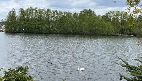 Lakeside Studio – Haus mit Seezugang - Photo 5