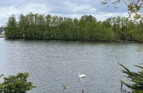 Lakeside Studio – Haus mit Seezugang - Photo 5