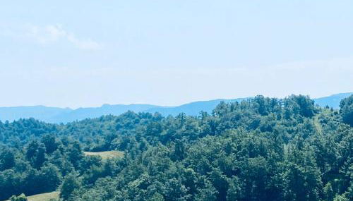 Da Santina 23 - Photo 4