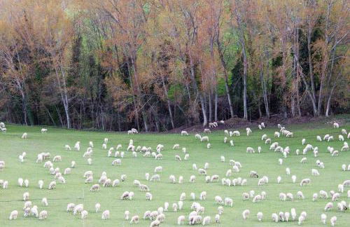 Casa Conxita de Pepa - Foto 20
