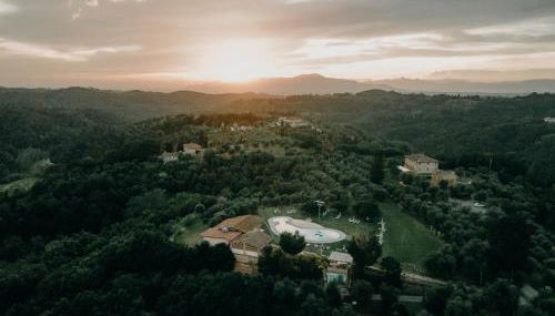 Fattoria di Colleoli - Foto 1