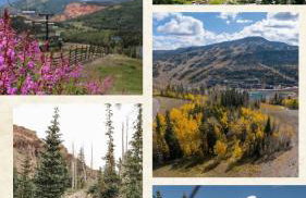 Eagles Roost Haven - Cozy Ski View Condo - Foto 34