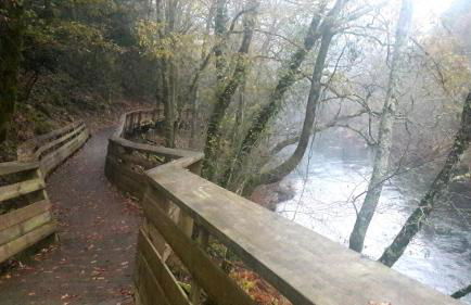 Douro Valley-Casa do Vimieiro - Foto 50