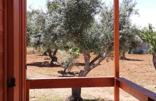 Burrico D`Orada - Rural Stays & Wine Country Tours - Foto 47