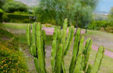 Agriturismo - "La Funicolare" - Photo 13