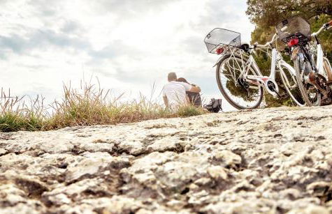 Apartaments Sa Torre by SUREDA MAS - Photo 54