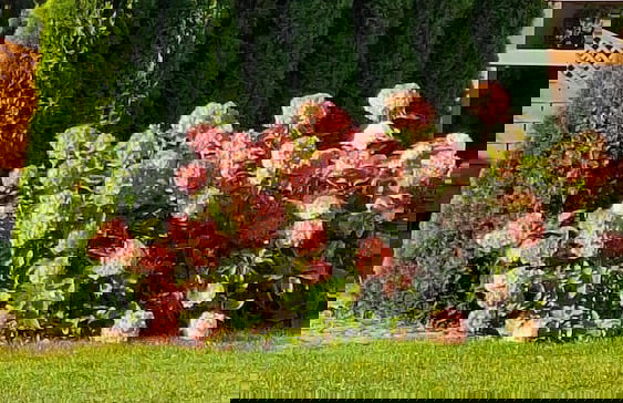 Apartment With a Swimming Pool in Stepniczka - Photo 19