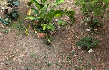 Roma centro little house of testaccio - Foto 31