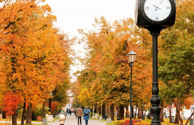 Apartmenty Uyut Dinamo - Foto 21