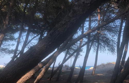 la casa rossa - Foto 12