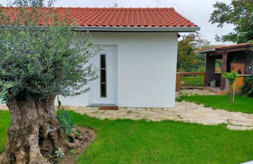 CASINHA DO RIO - Foto 1