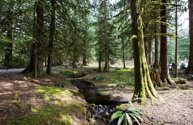 56SLL - Fireplace - Inexpensive - Kitchenette - Sleeps 4 - Foto 29