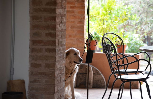 agriturismo borgo piazza - Foto 57